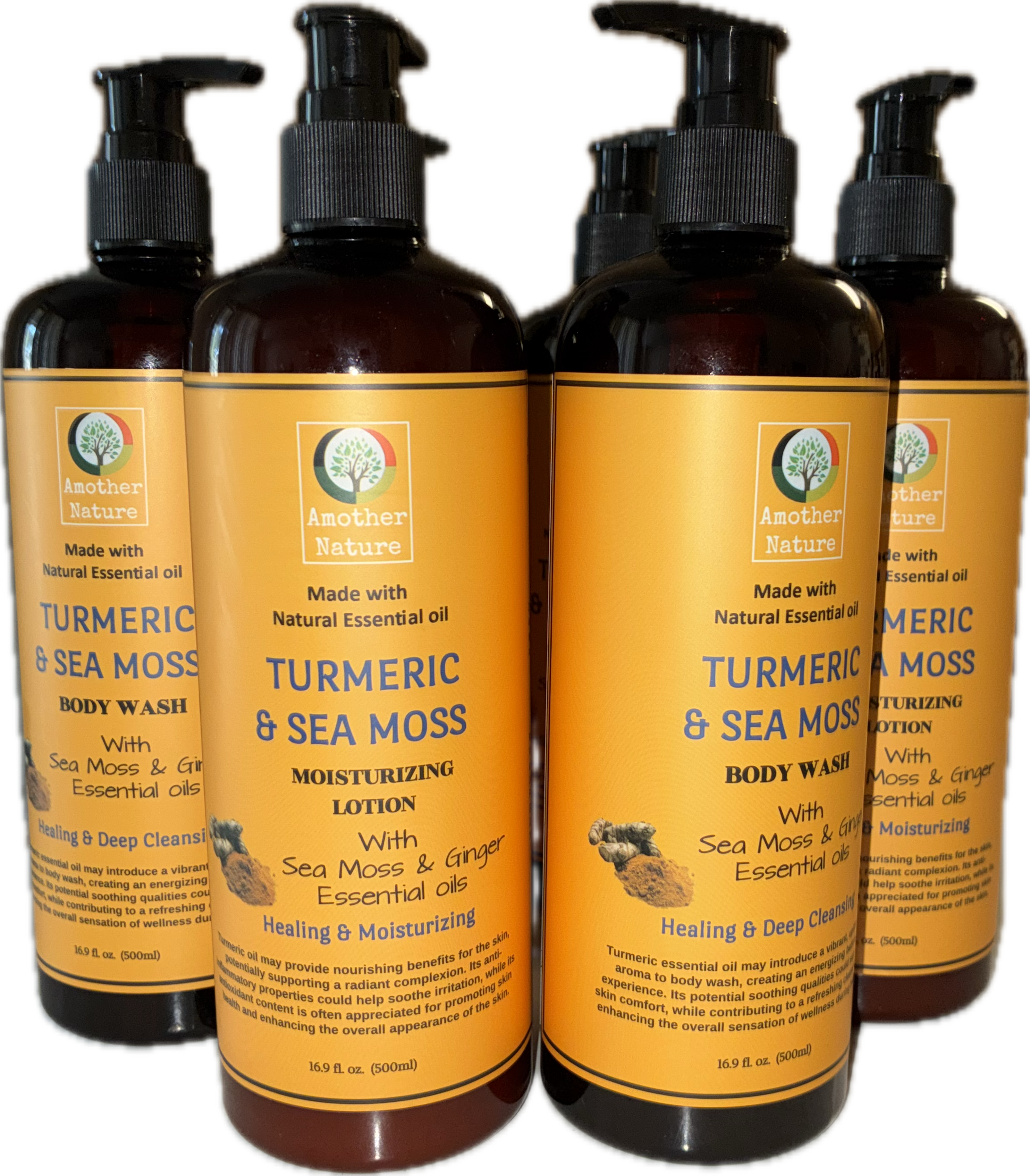 Turmeric & Sea Moss Organic Body Wash+Lotion – 16.9 fl oz - Bee Graffik